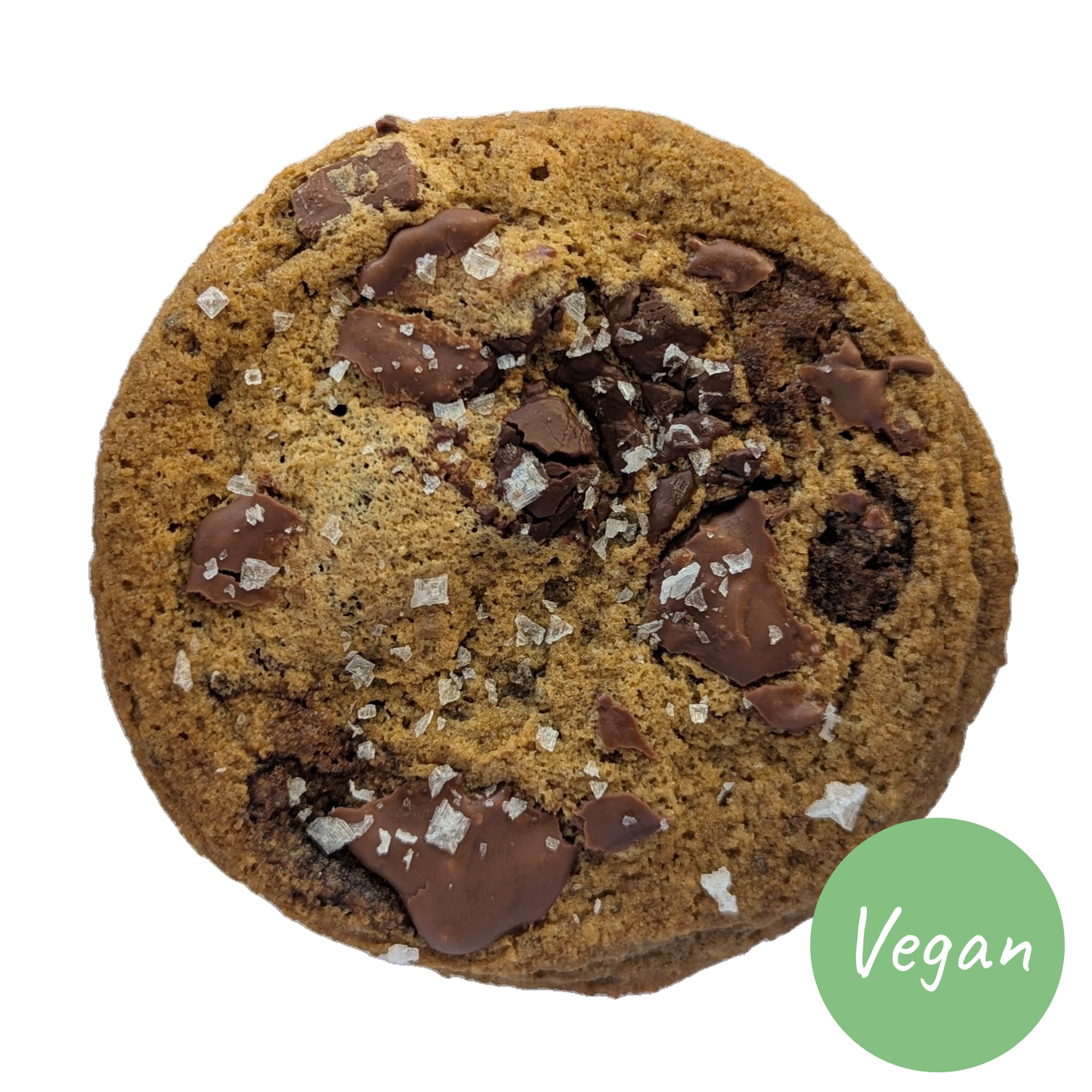 Brown Chocolate Chip Cookie